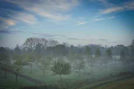 Herfst in de Meinerswijk. 1