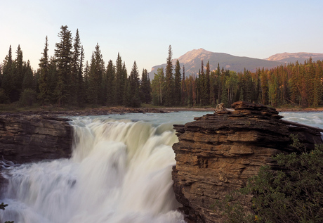 Athabasca Waterfall