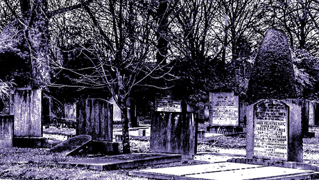 In de schaduw van het gesternte?Verstilde getuigen