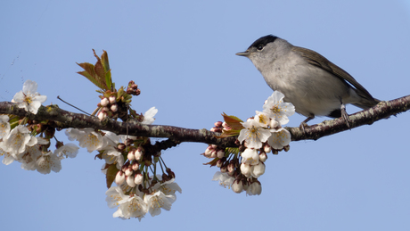 op weg naar een snack
