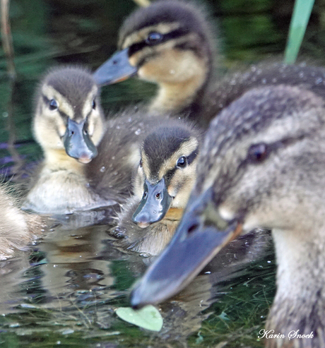 "Family portrait..."