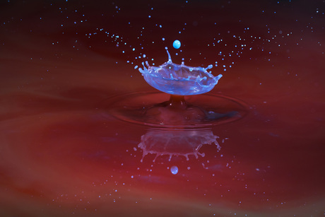 Colorful Splashing Droplets