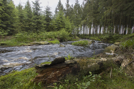 Hoge Venen Ardennen