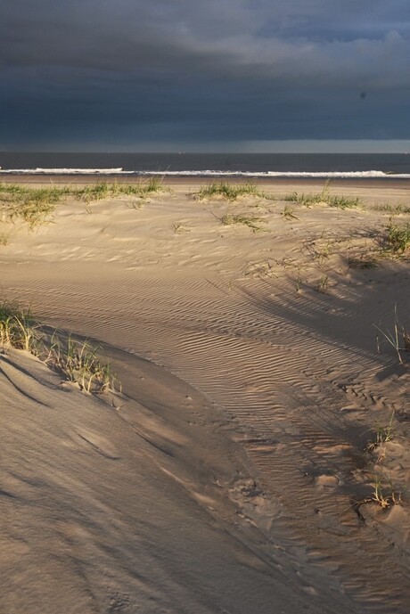 Strand Vlieland