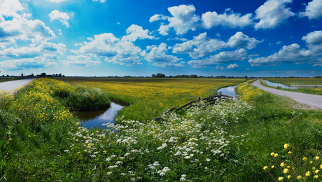 Lente in de Berkmeer