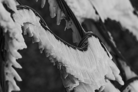 Kunst gemaakt door wind, water en kou