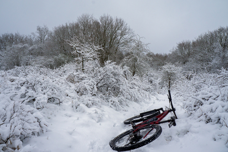 single track in sneeuw