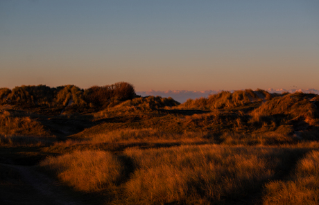 De Slufter, Texel