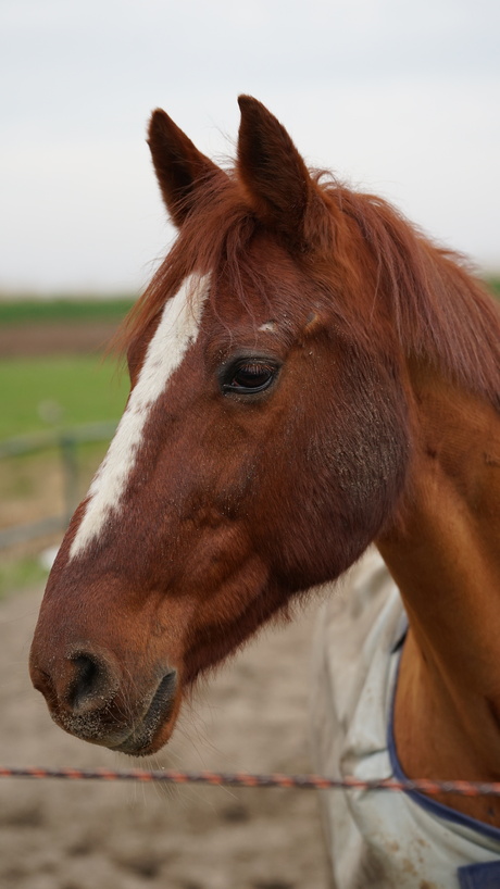lenstest |Sigma 70-200 | F2.8