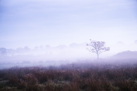 zonsopkomst Zundert 8-11-2025