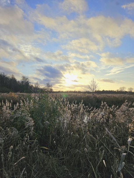 Zonnige herfst wandeling