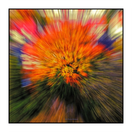 Herfstkleuren abstract