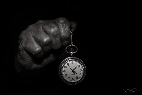 The Tenderness Of Time