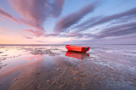 The Red Boat 
