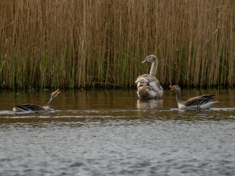 Waar maken jullie je druk om?