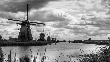 Kinderdijk in zwart-wit