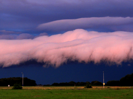Een roze wolk