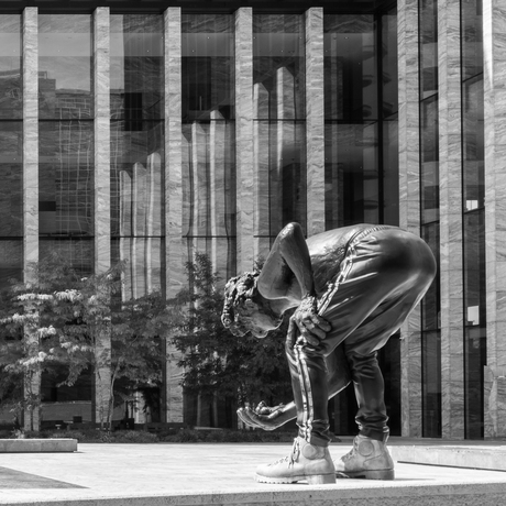 Grote Vriendelijke Reus