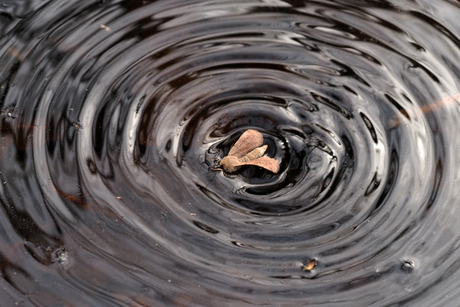 Kring maken nu ben ik duizelig 