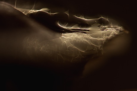 lightning mushroom