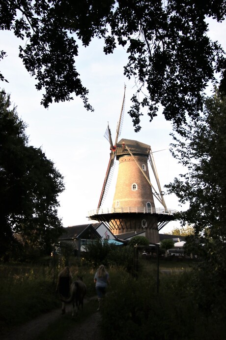 Molen 2