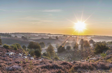 ja, we hebben ook mooie heuvels in nederland