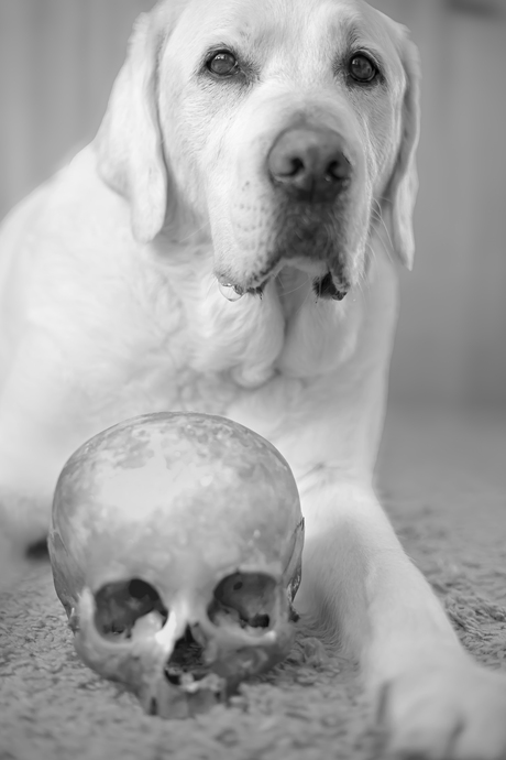 Eigenlijk ben ik best wel lief