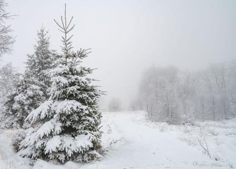 Winterlandschap