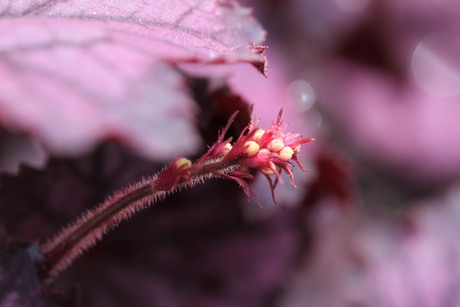Het begin van een nieuw blad