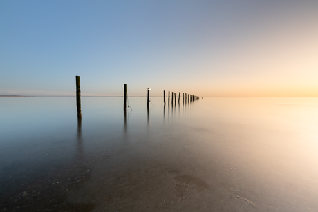 Gouden uur op de Maasvlakte