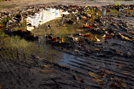 Puddle of mud