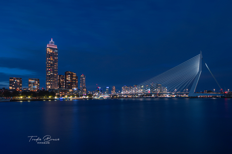 Rotterdam skyline 