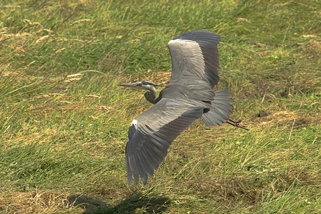 In vogelvlucht.