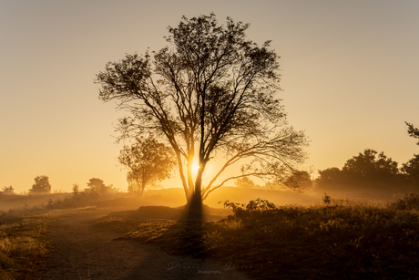 Zonsopkomst Renderklippen