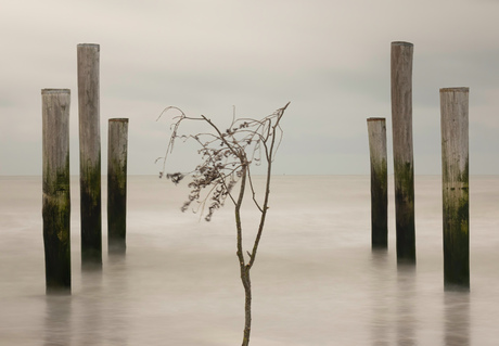 stijgende zeespiegel