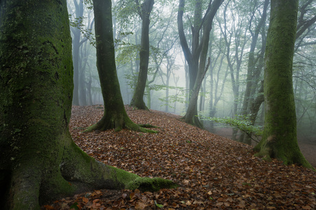 Herfst!