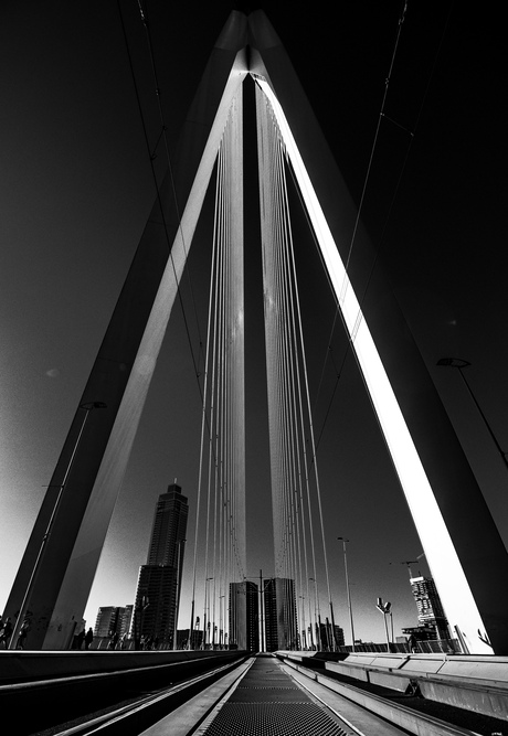 Erasmusbrug 