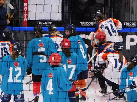 IJshockey