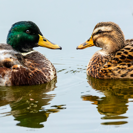 samen ...