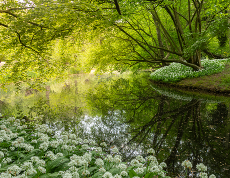 Fris groen 