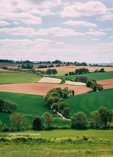 Limburg