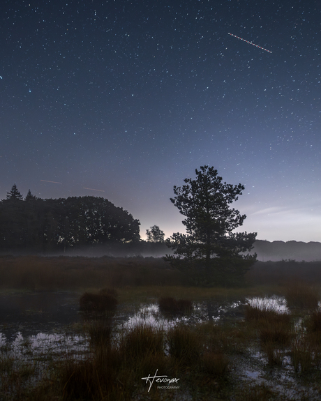 Rustige nacht...