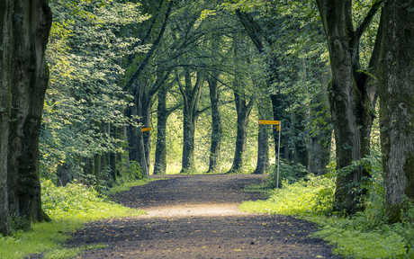 Broekpolder, Vlaardingen