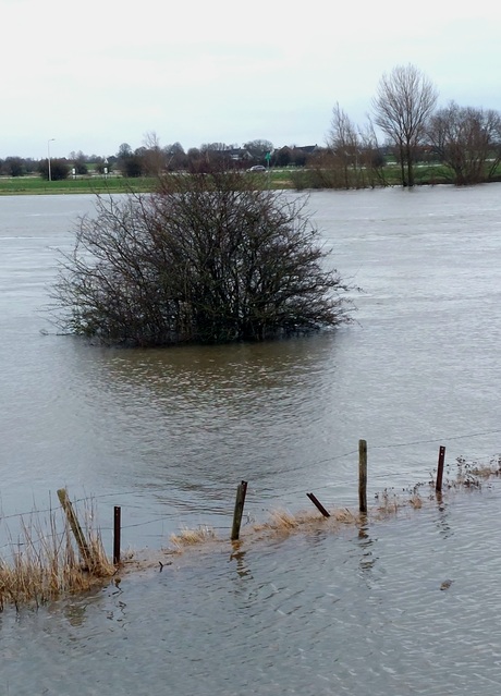 Hoogwater wijk bij Duurstede december 2023
