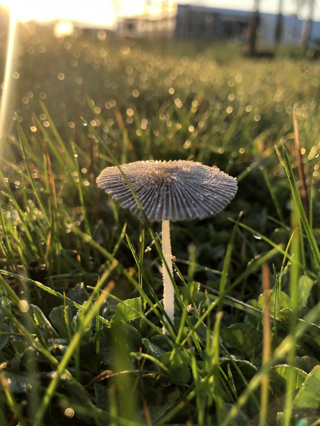 Eindelijk de herfst is begonnen