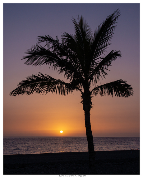 Another day on La Palma