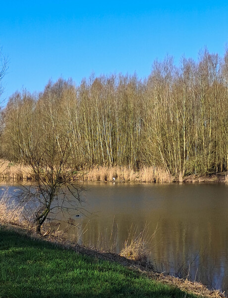 riet kant