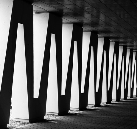 Zwart/Wit