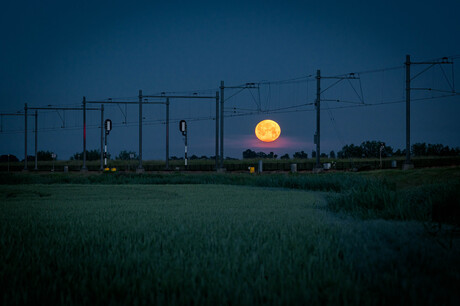 Moonlighting