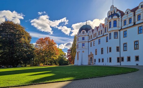  Schloss Celle